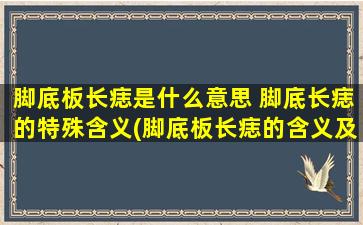 脚底板长痣是什么意思 脚底长痣的特殊含义(脚底板长痣的含义及解读，你不知道的奇妙足底世界)